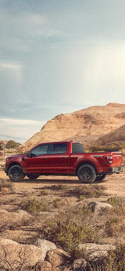 福特 F150  高清手机竖屏壁纸