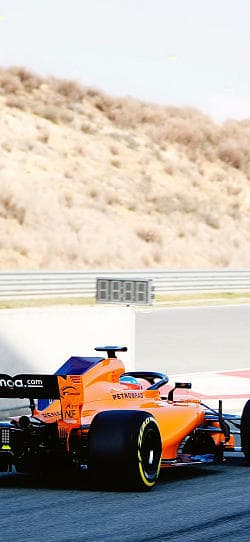 F1 混合  高清手机竖屏壁纸